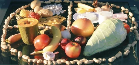 Ilda Calakovic - Diététicienne - Nutritioniste au Luxembourg (Pétange) - Illustration Diète thérapie Ilda Calakovic - Diététicienne - Nutritioniste au Luxembourg (Pétange) - Illustration Diète thérapie