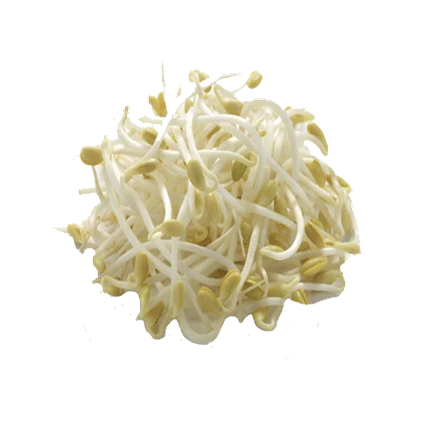 Ilda Calakovic - Diététicienne - Nutritioniste au Luxembourg (Pétange) - Fibres de plantes Ilda Calakovic - Diététicienne - Nutritioniste au Luxembourg (Pétange) - Fibres de plantes