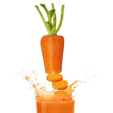 Ilda Calakovic - Diététicienne - Nutritioniste au Luxembourg (Pétange) - Hydratation et boisson détox Ilda Calakovic - Diététicienne - Nutritioniste au Luxembourg (Pétange) - Hydratation et boisson détox